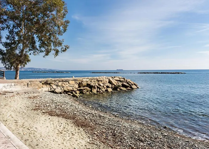 Carmencita B14 With Pool アパート *